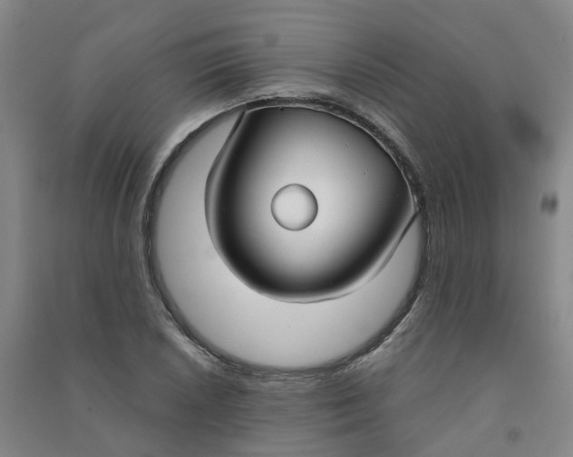 X0000090921026200708201801