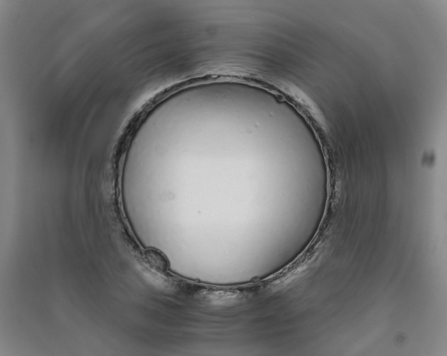 X0000090921027200708201801