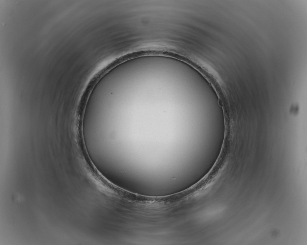 X0000090921029200708201801