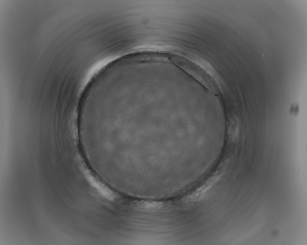 X0000090921030200708201801