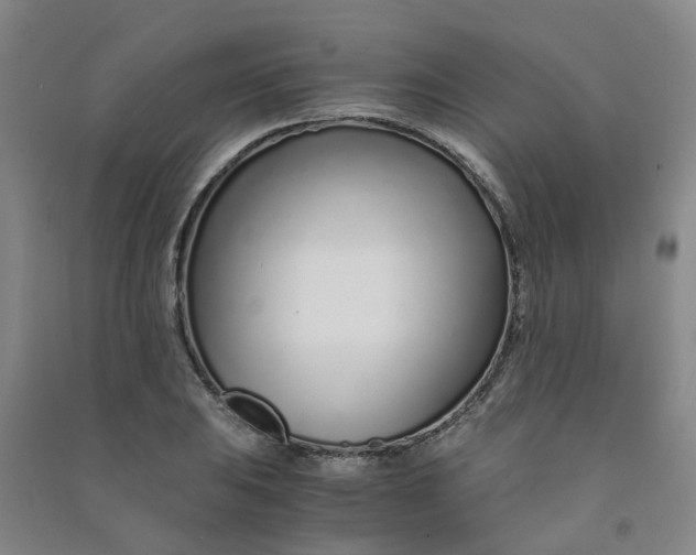 X0000090921031200708201801