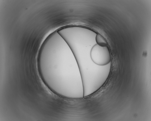 X0000090921032200708201801