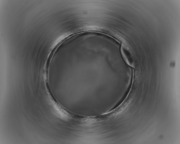 X0000090921034200708201801