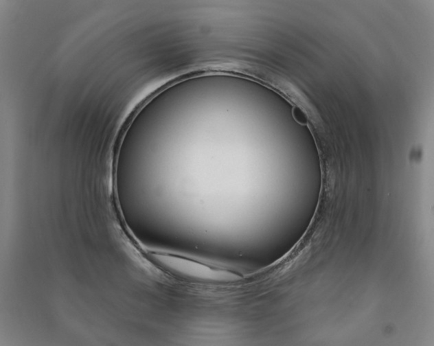 X0000090921036200708201801