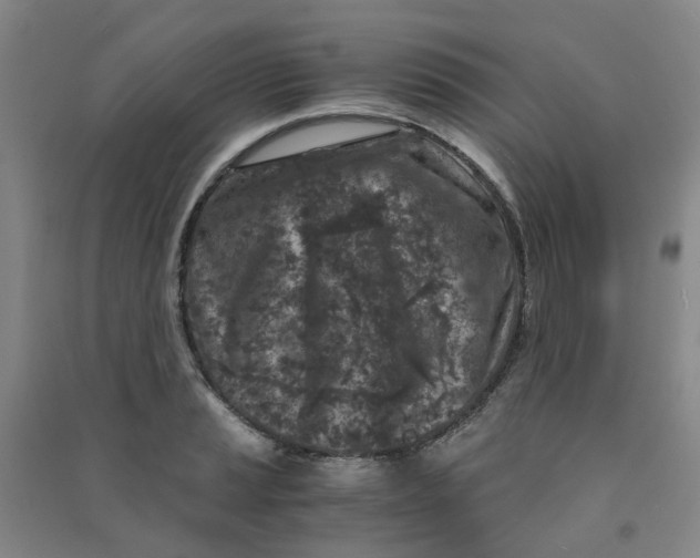 X0000090921037200708201801