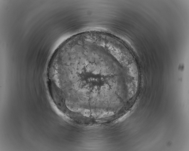 X0000090921038200708201801