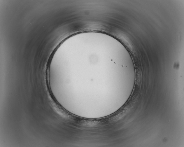 X0000090921039200708201801