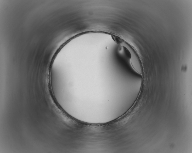 X0000090921040200708201801