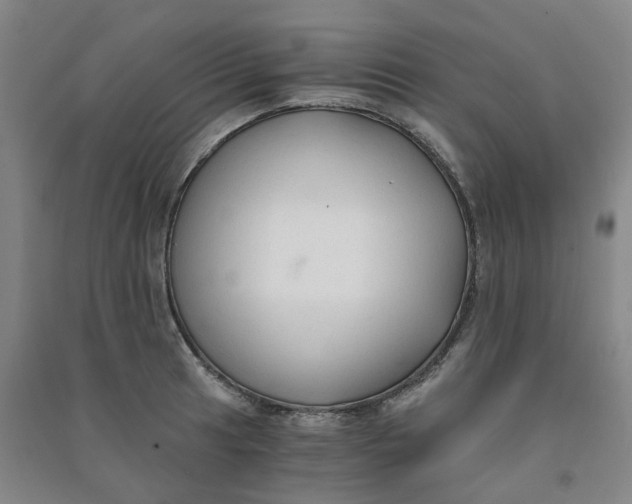 X0000090921041200708201801