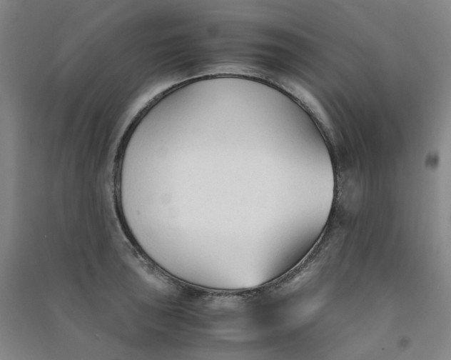 X0000090921043200708201801