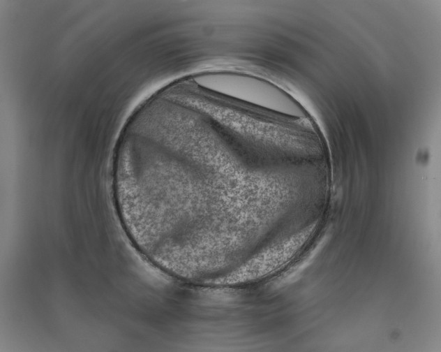 X0000090921045200708201801