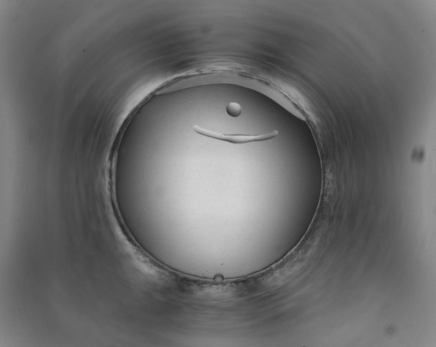 X0000090921047200708201801