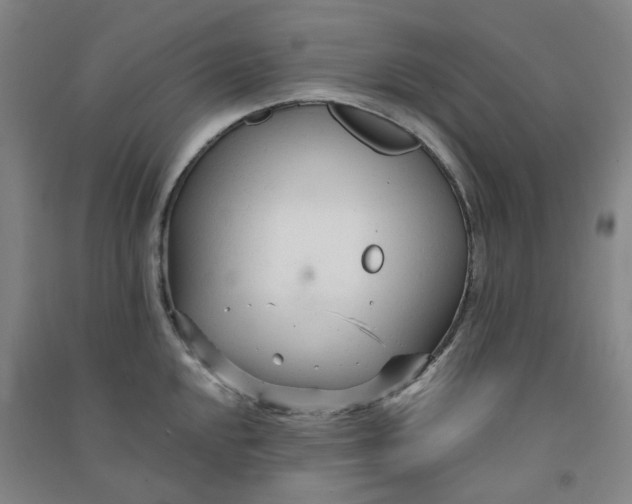 X0000090921048200708201801