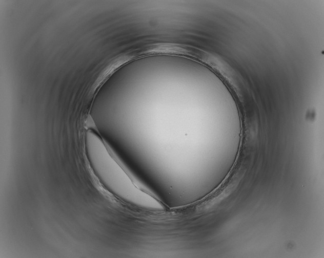 X0000090921049200708201801