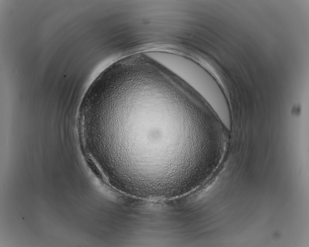 X0000090921050200708201801