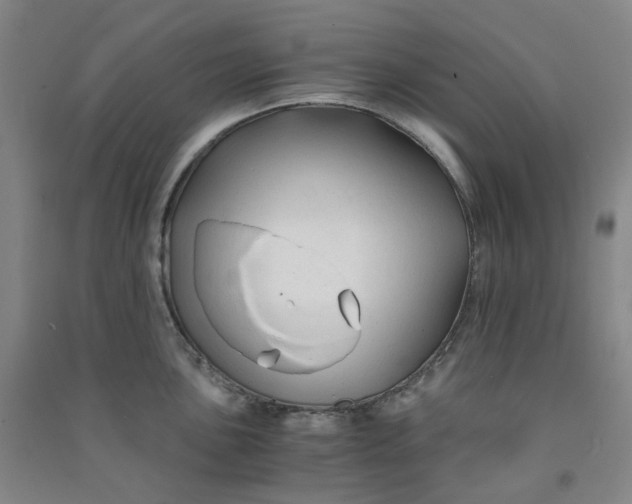 X0000090921051200708201801