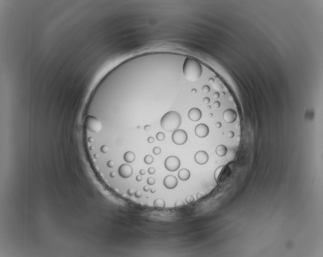 X0000090921053200708201801