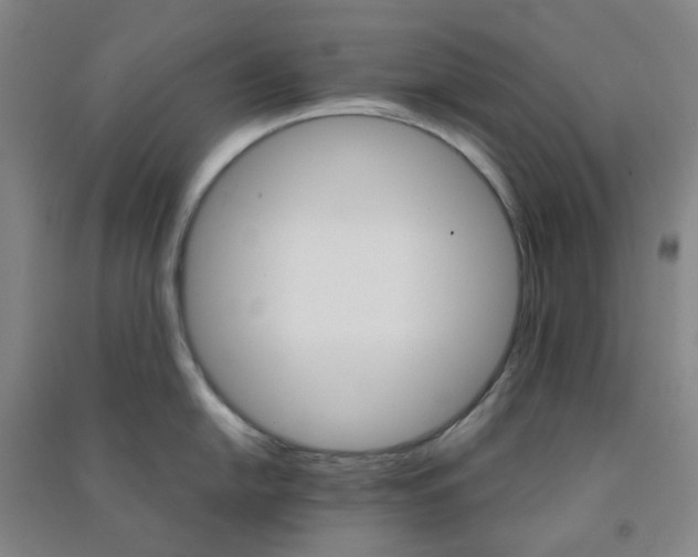 X0000090921054200708201801