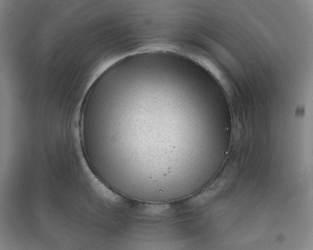 X0000090921055200708201802