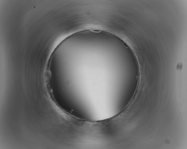 X0000090921056200708201802