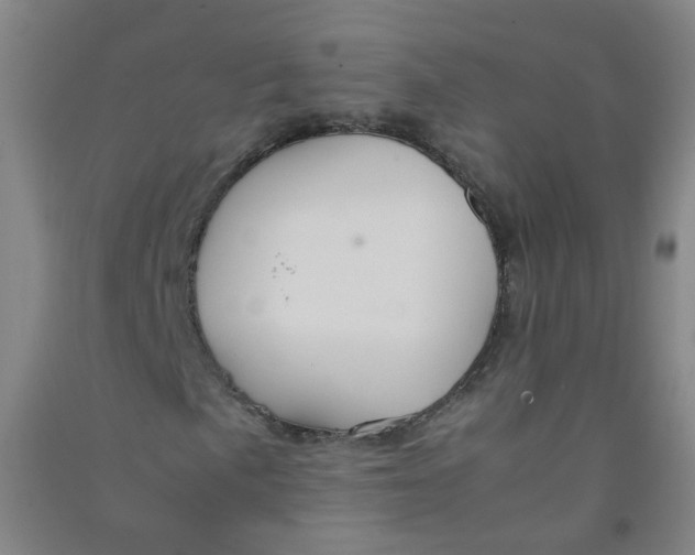 X0000090921057200708201801