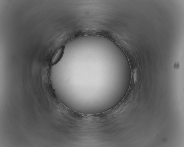 X0000090921059200708201801