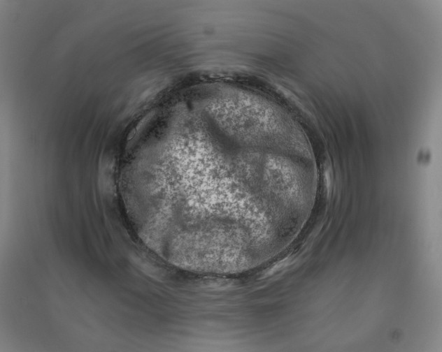 X0000090921060200708201801