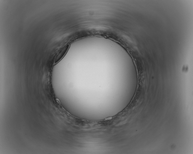 X0000090921061200708201801