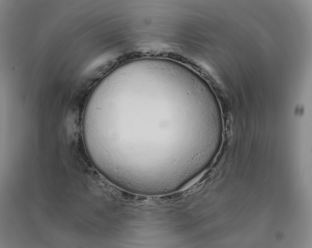 X0000090921063200708201801