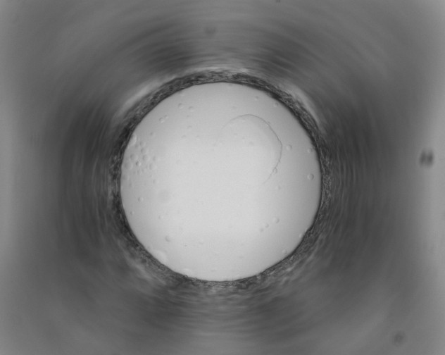 X0000090921064200708201801