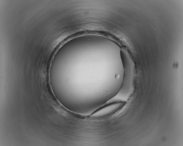 X0000090921065200708201801