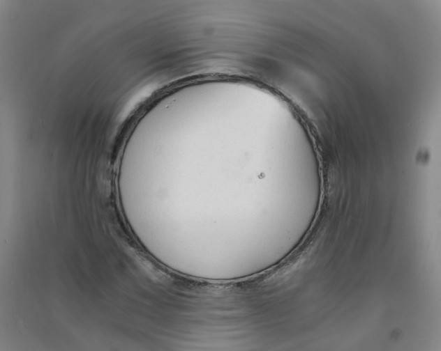 X0000090921067200708201801