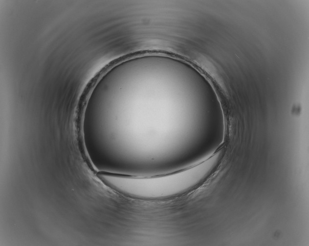 X0000090921068200708201801