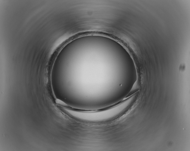 X0000090921069200708201801