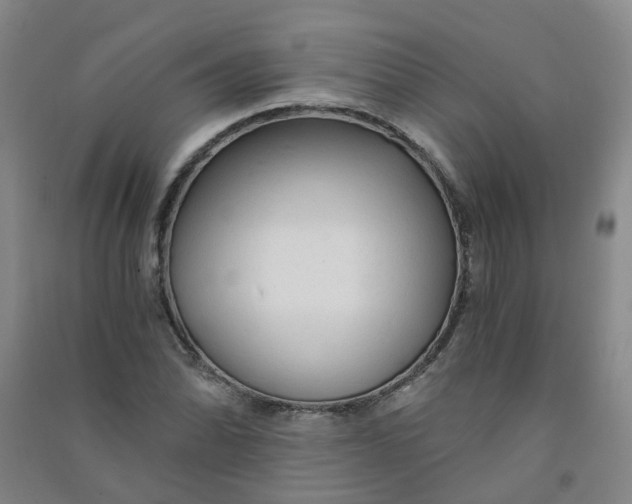 X0000090921070200708201801