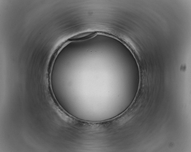 X0000090921072200708201800