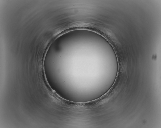 X0000090921073200708201800