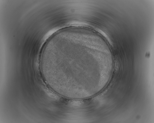 X0000090921074200708201800