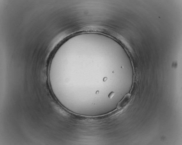 X0000090921075200708201800