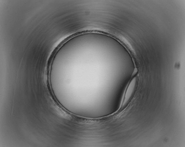 X0000090921076200708201800