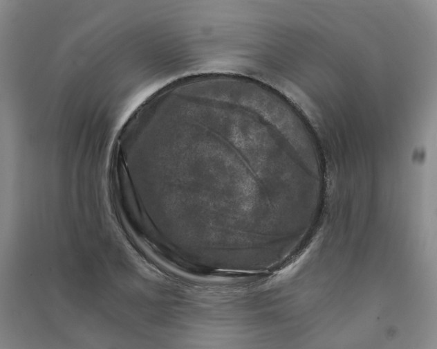 X0000090921077200708201800