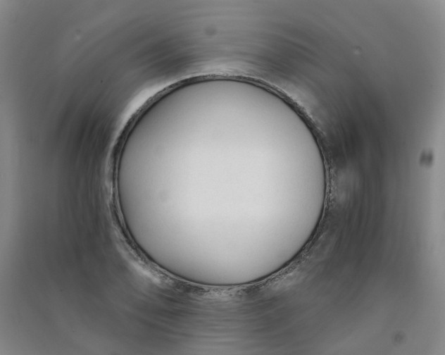 X0000090921078200708201800