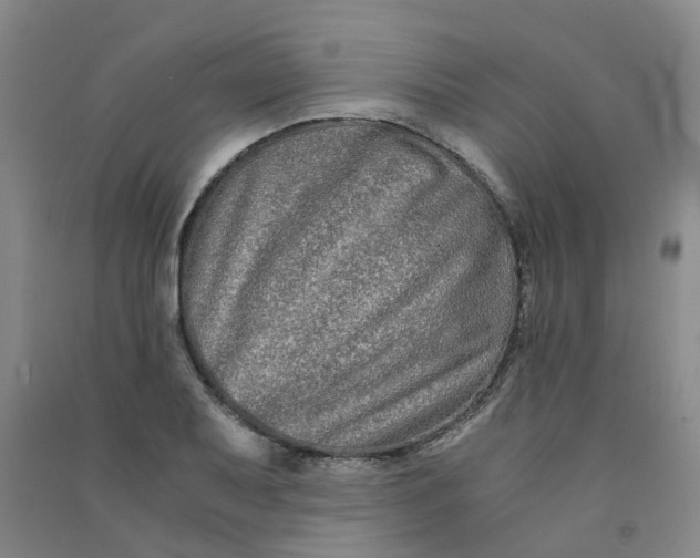 X0000090921079200708201800