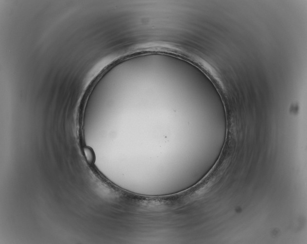 X0000090921082200708201800