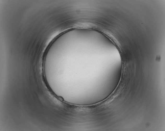 X0000090921083200708201800