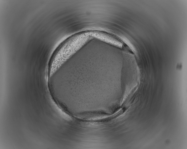 X0000090921084200708201800