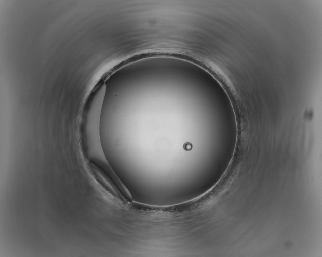 X0000090921085200708201800