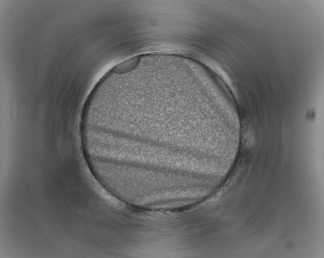 X0000090921091200708201800