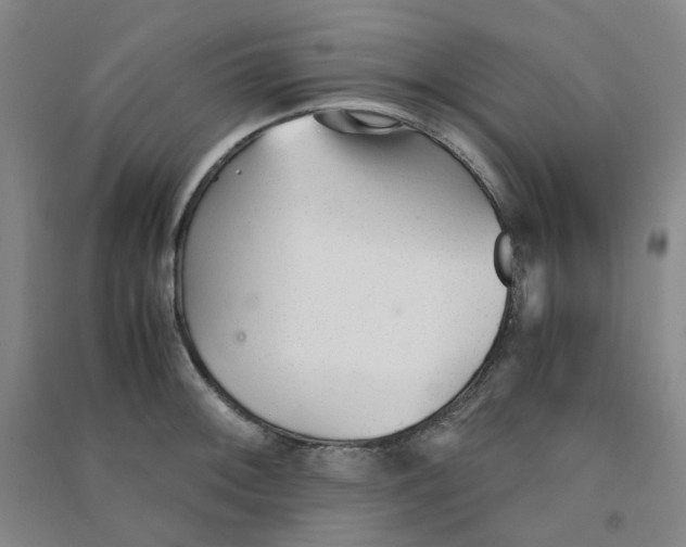 X0000090921092200708201800