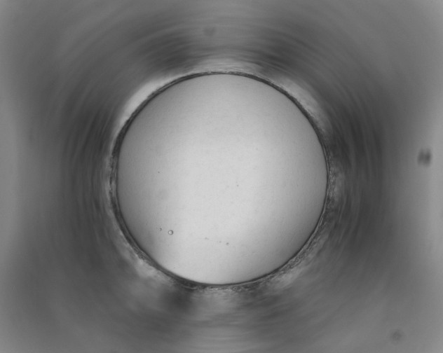 X0000090921094200708201800